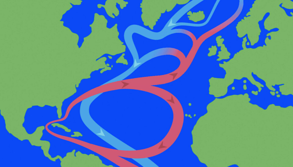 The Gulf Stream's unique mechanisms ensure it continues to circulate in a vortex, contributing to the warmer climate in the northern regions.