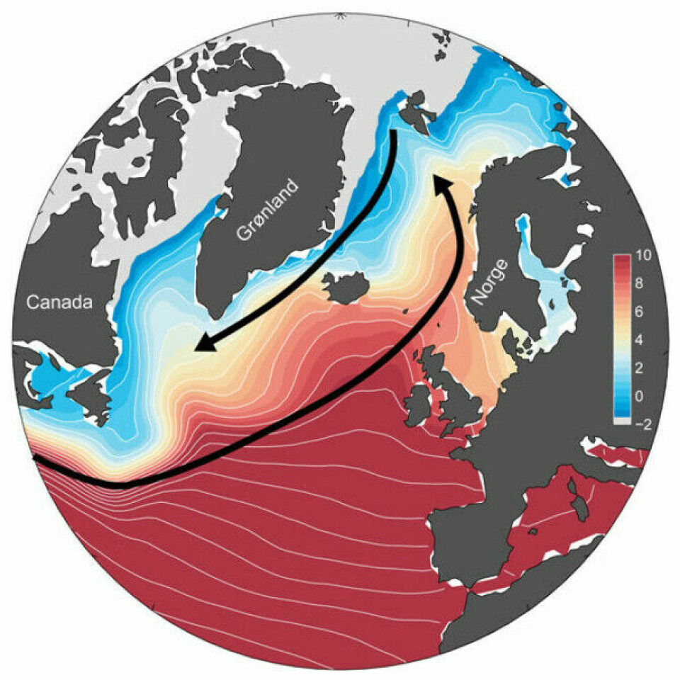 The Gulf Stream moves in an enormous vortex. Here you can see how warm water and cold water exchange places.