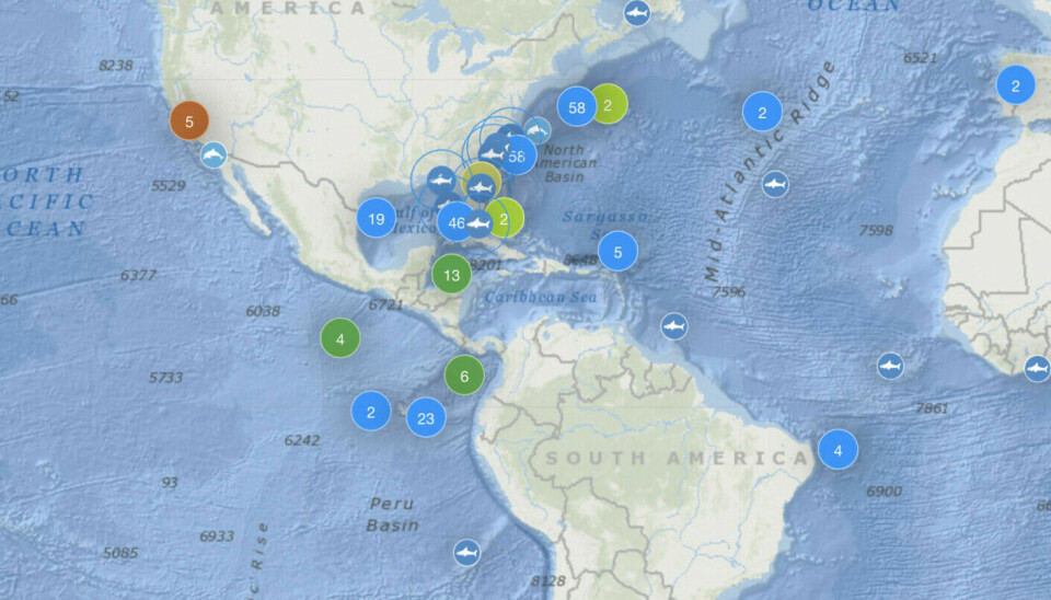 Researchers have attached transmitters to the sharks. You can track the location of the 92 great white sharks.