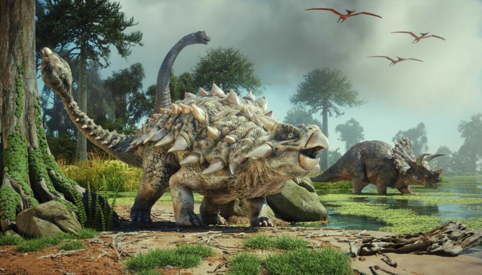This is what an armored dinosaur could have looked like.