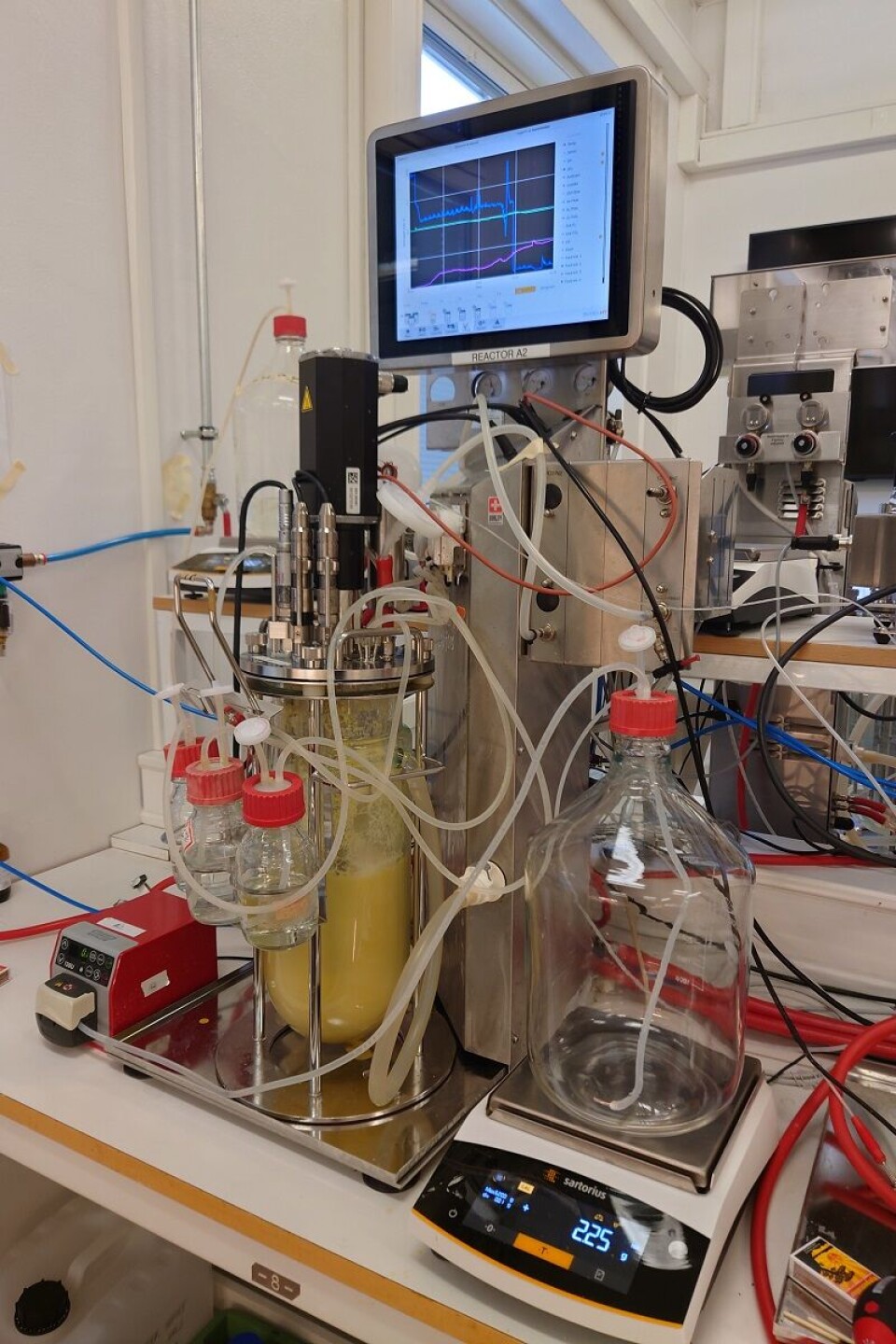 Fermentation takes place in the laboratory with digital precision.
