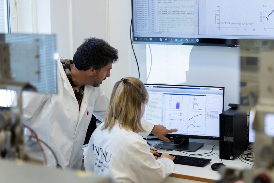 Nadav Bar and Fabienne Rössler in the laboratory where the research group is investigating the fermentation of macroalgae.