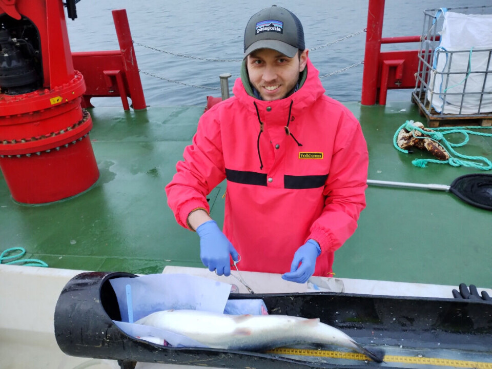 “Proper training of the personnel performing the procedure is important. The goal is always that the fish should be provided the best possible care,” researcher Miiro Virtanen says.