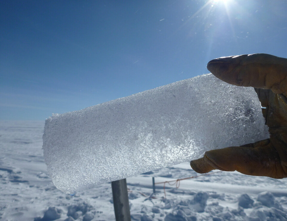 An example of an ice core that has been collected from the ice. This one was taken by NASA.