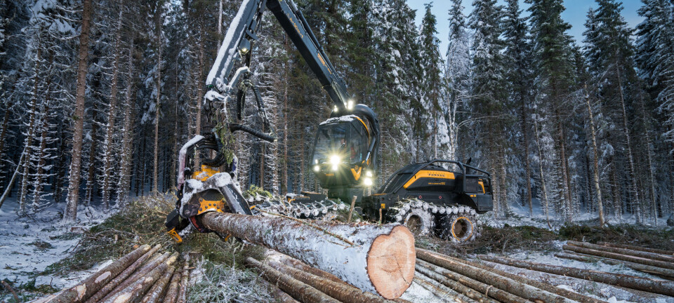 Many harvest their forest too early. Why?