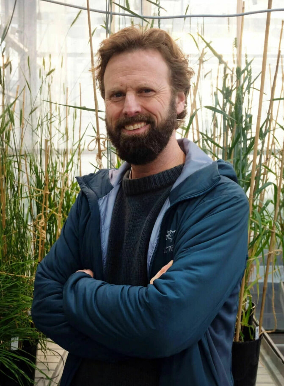 Ola Westengen researches food security at the Norwegian University of Life Sciences (NMBU).