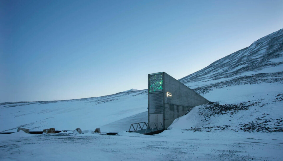 The entrance to the seed vault. 120 metres into the mountain, there are three large storage rooms full of seeds.