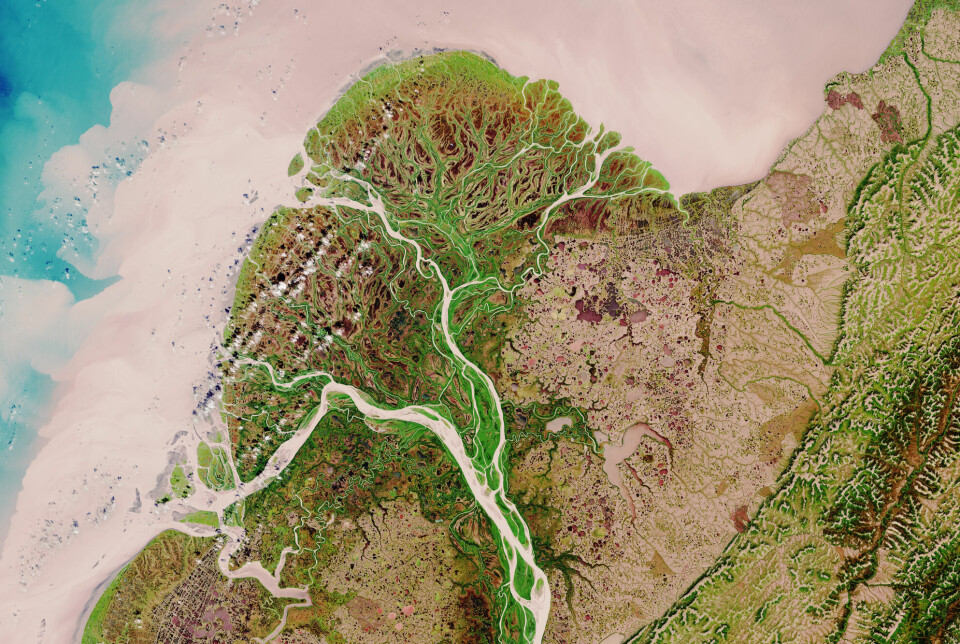 A delta formed by the Yukon River in Alaska.