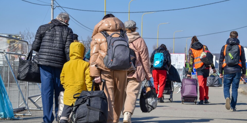 In 2022, the researchers found a unified response to the high number of people fleeing Ukraine, at least when it comes to granting protection. Refugees from Ukraine on the border with Slovakia.