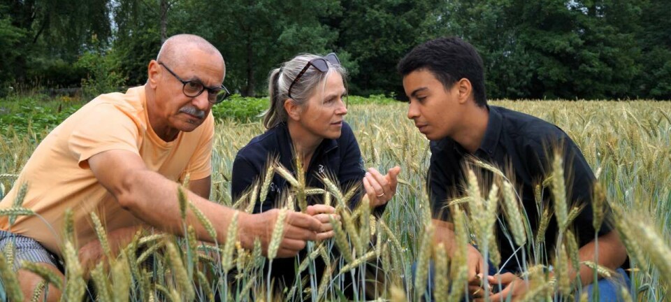 Fungicide resistance is a threat to the health of humans, animals, and plants