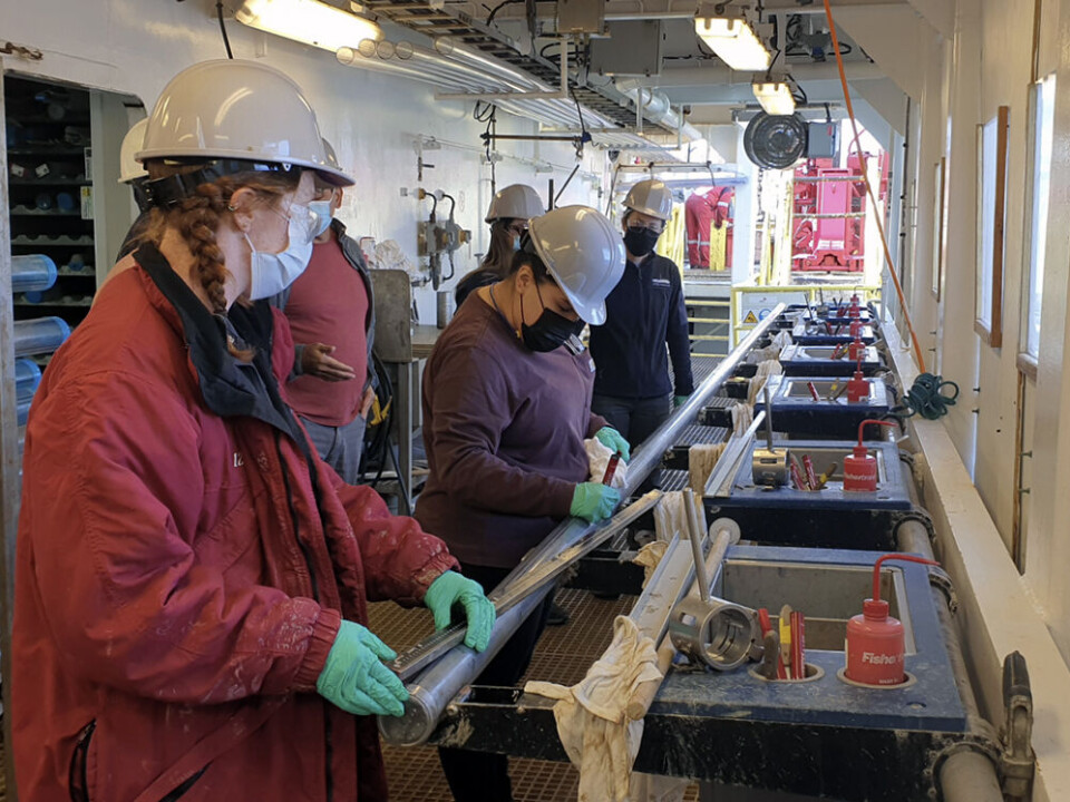 The cores come up in 9.5-metre-long plastic tubes before they are divided into 1.5-metre-long sections on what the expedition participants call the ‘catwalk’. Then they are brought into the lab.