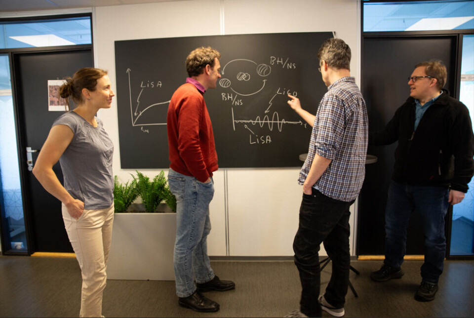 The astrophysicists are discussing how the signal from a collision between two black holes (BH) appears and which part can be observed from space (LISA project). From left: Helena Kolesova, Germano Nardini, Alex Nielsen, and Anders Tranberg.