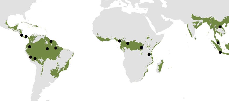 Map showing the different locations of the cameras used in the study.
