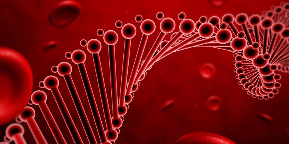 The direct medical cause of high blood pressure is unknown in many cases, but research shows that our genes play an important role.