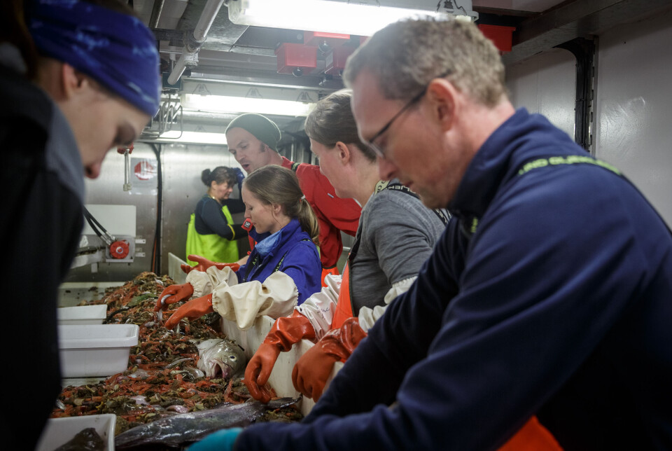 The IMRs annual ecosystem survey in the Barents Sea is one of several surveys where Muusoctopus aegir has been documented.