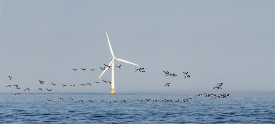 Weather radars reveal where birds migrate