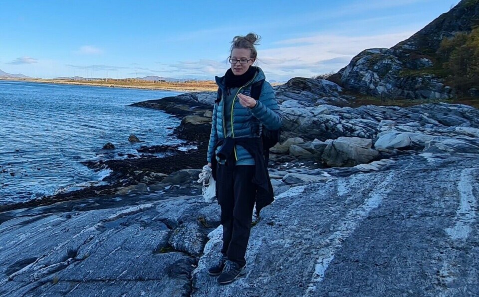 Anja Westram is a snail researcher at Nord University.