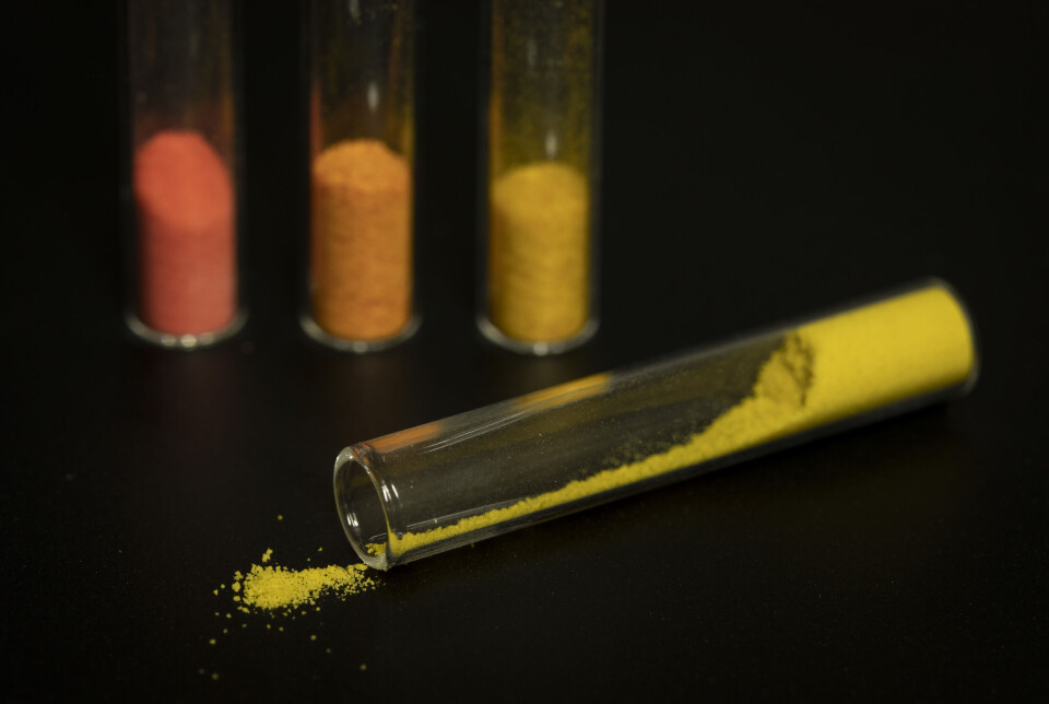 Some of the bacteria contained pigments.