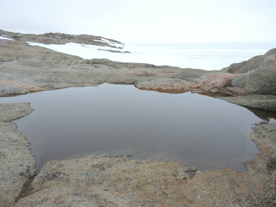 Meltwater pond in Antarctic.
