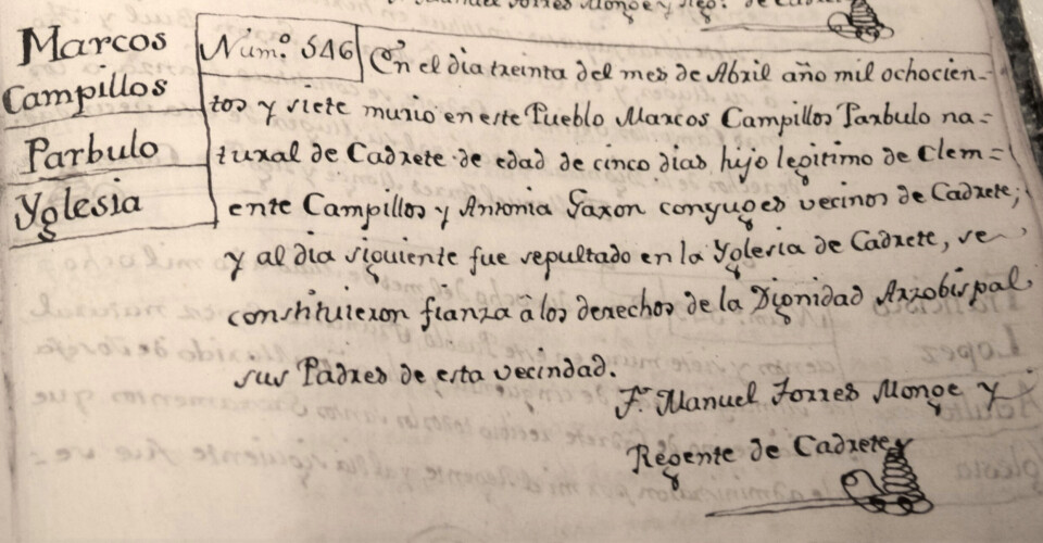 Extract from a Spanish archive on the number of deaths, one of many thousands of archive pages that the researchers have surveyed.
