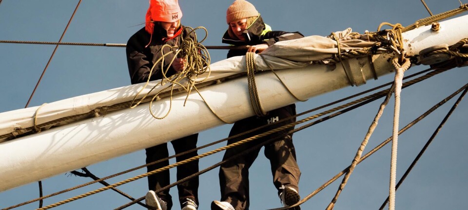 Can life at sea teach us to live in a more meaningful way?