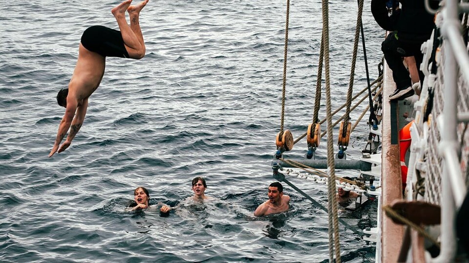 The young people who take part in the Windjammer trip are often recruited through NAV, the Norwegian Labour and Welfare Administration, or the Follow-up Service. Everyone on board has two four-hour shifts daily, but there is time for other things in between.
