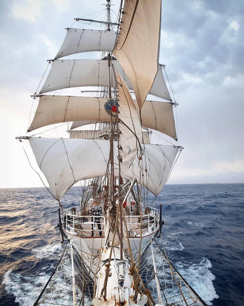Four weeks on the sailboat Christian Radich can lead to changes in young people. Which ones – the research results will show.