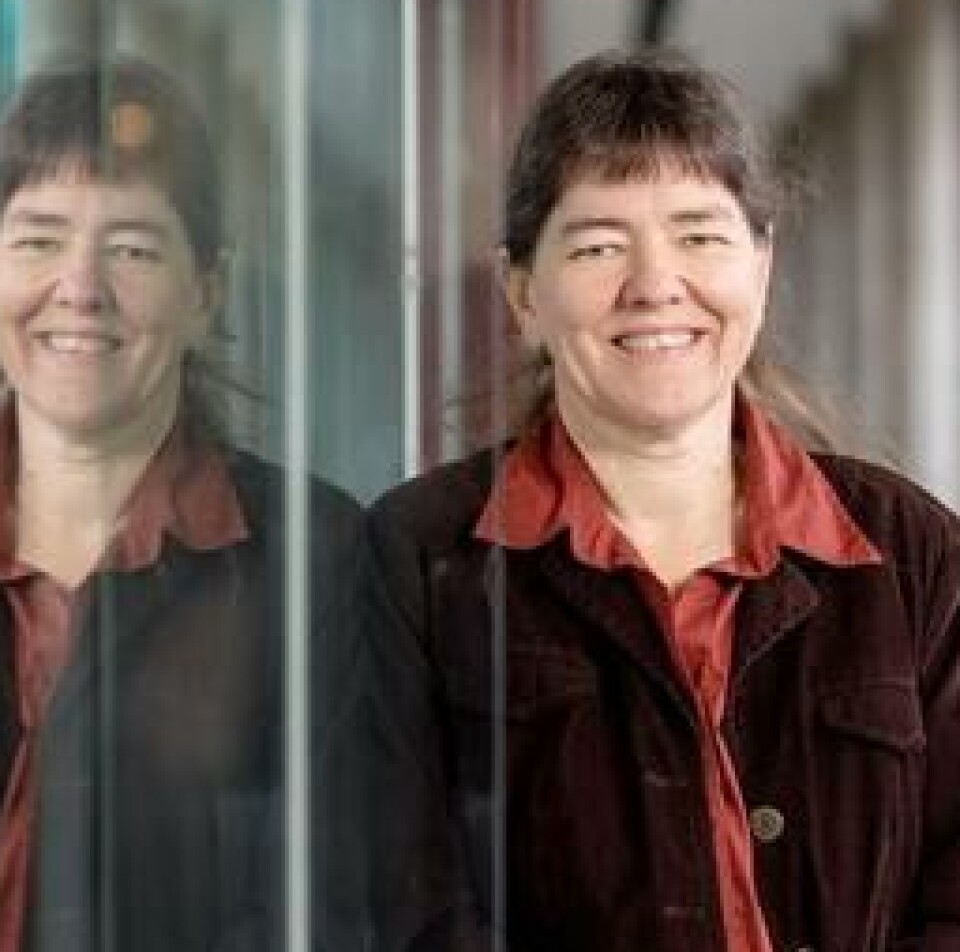 'Culture influences a great deal, if not all, of what we experience, think, or do,' Andrea Bender says.