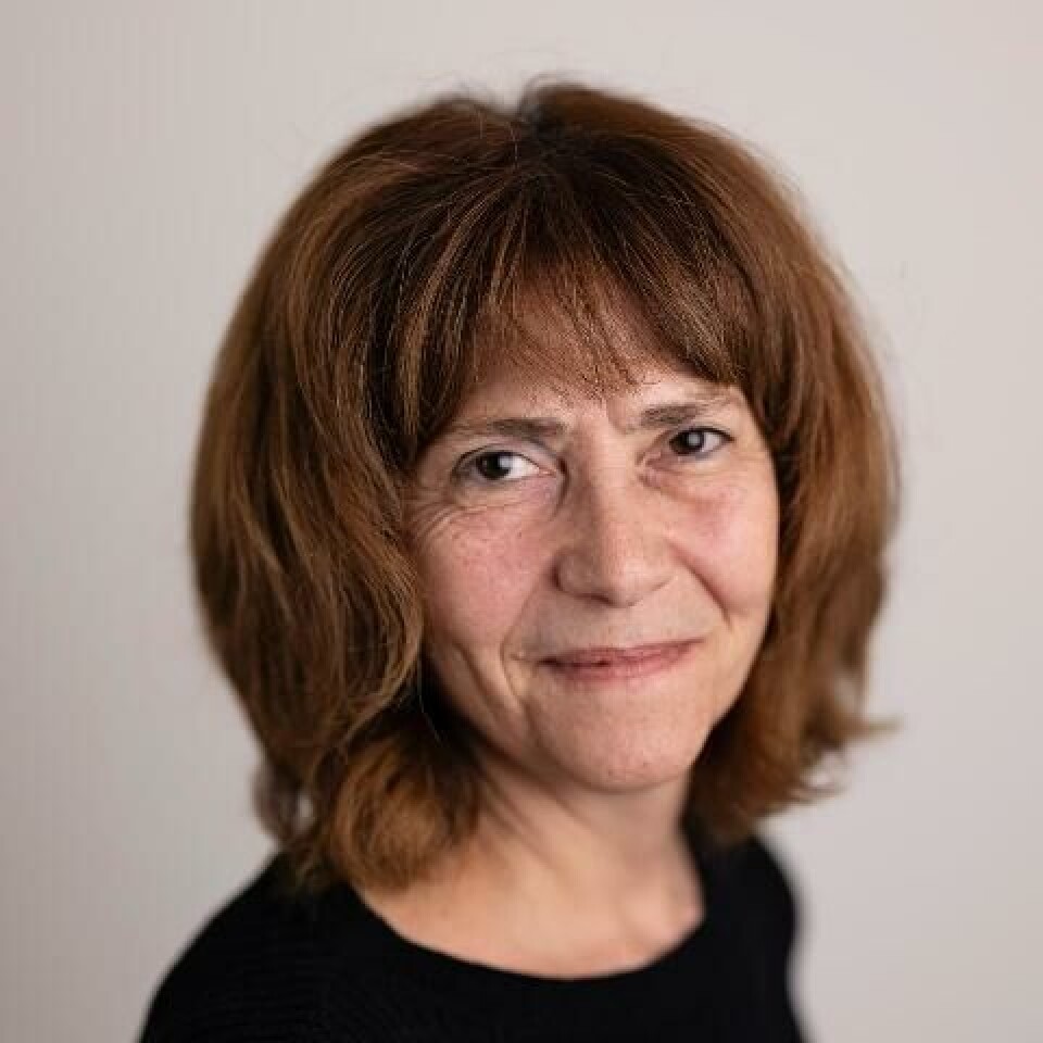 Professor Mila Vulchanova has spent her whole life studying language comprehension, language development, and how the brain works to handle language.