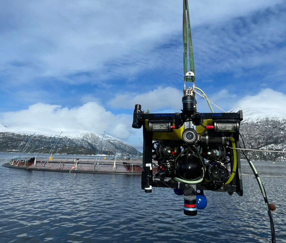 Does this robot disturb penned fish? It is equipped with an echo sounder and cameras that enable it to observe how the fish around it respond to its movements. Here, we see it being lowered into the water at a location offshore Kristiansund, in Western Norway.