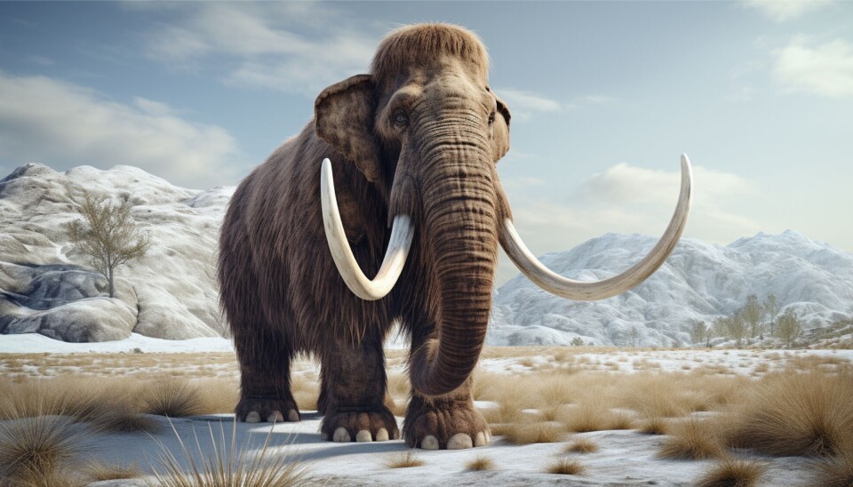 Mammoths lived until about 4,000 years ago, when they also had to share the space with humans.