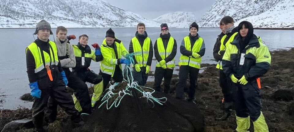 Artificial intelligence makes smarter use of seaweed and kelp