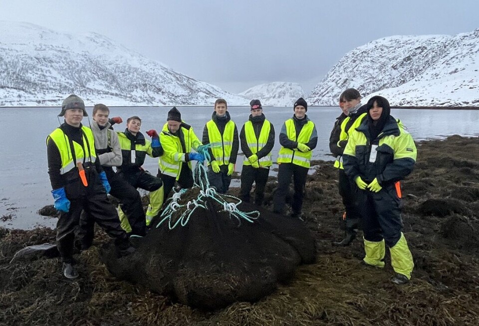 Seaweed and kelp products have already become a major industry. This is the gang at Polar Algae in Northern Norway. Their years of experience are now being boosted by artificial intelligence.
