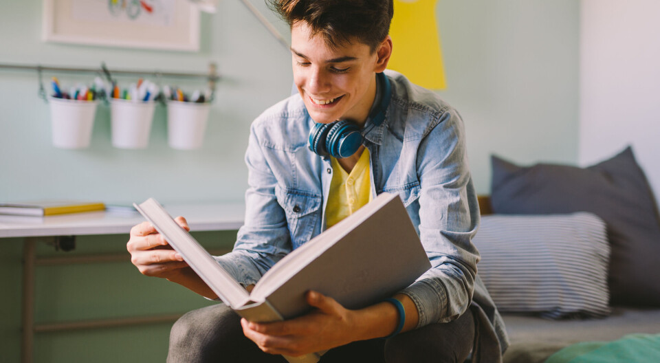 What is it like to learn Norwegian?