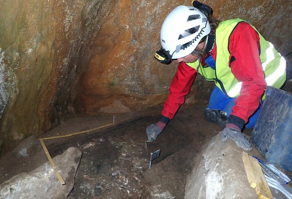Bones and DNA are particularly well preserved in caves. Here from the excavation in Nygrotta.