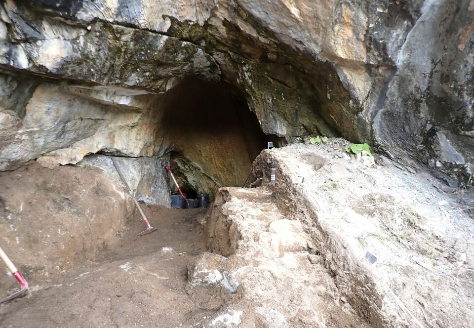 The cave was completely unknown until 1993.
