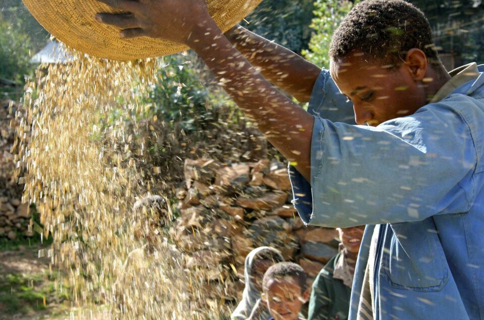 Our urine contains nitrogen and phosphorus – exactly what the plants want.