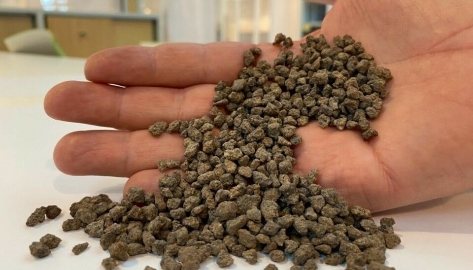 This is what the urine pellets look like. If spread on a field, the plants there will grow big and strong.