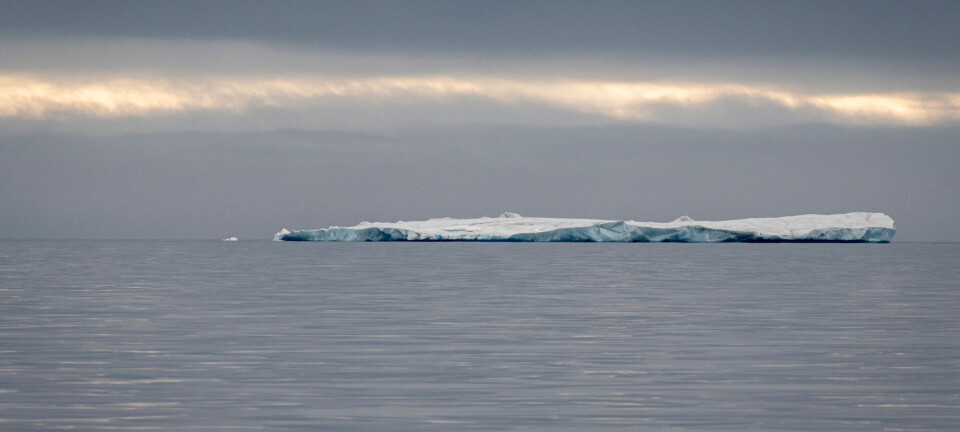 What is happening to the Arctic sea ice in winter?