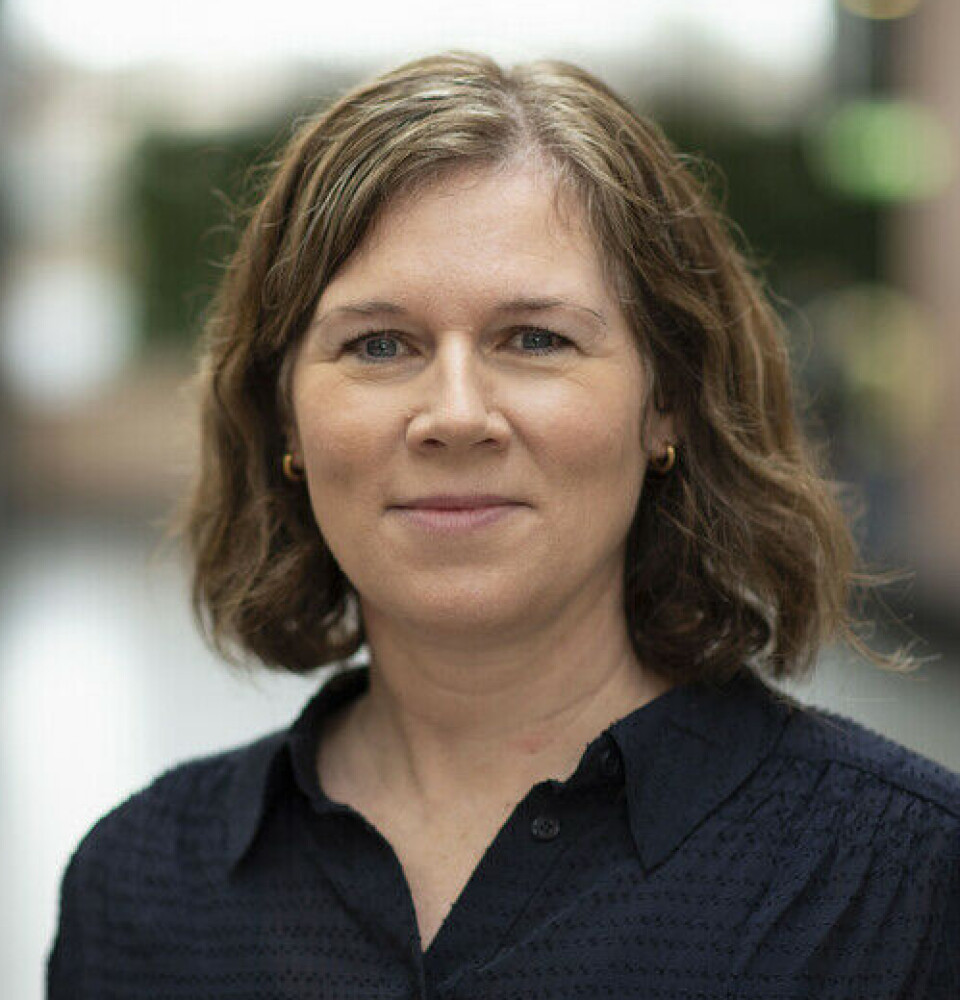 “I found that financial security is an essential starting point to be able to focus on mastering a job,” says Ellen Ånestad Moen, who has earned a doctorate on individual placement and support.