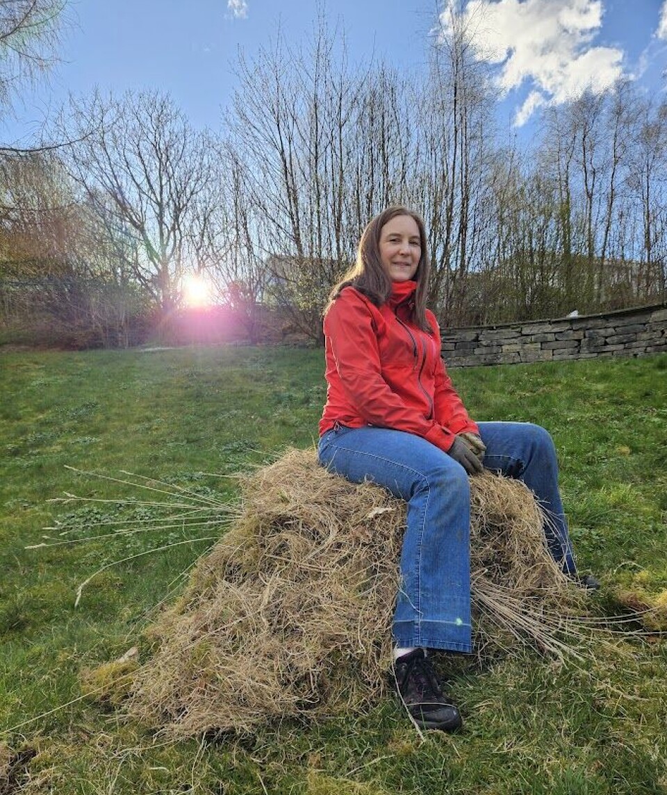 Vibeke Olsen and the result of this year's clean-up. Vibeke Olsen sitter på en haug av gress og mose som er raket vekk fra enga. Olsen har brunt, langt hår og er kledd i rød jakke og blå jeans.