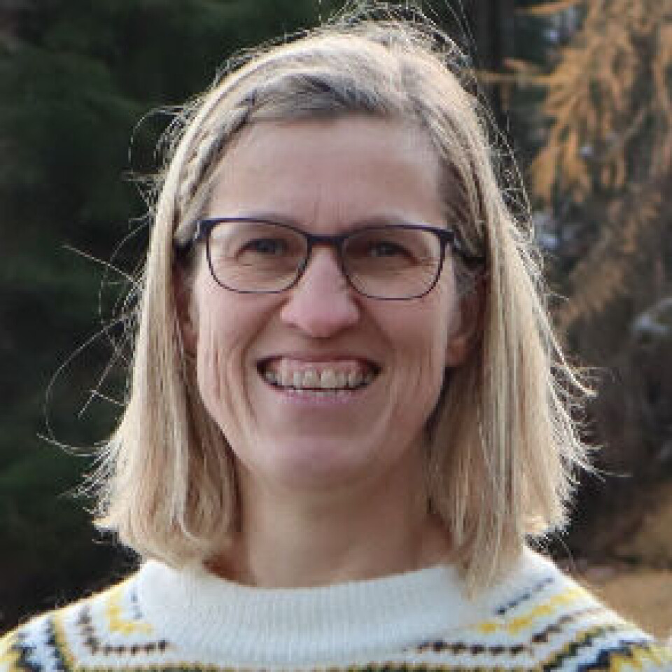 Inger Auestad did not find success with the meadow recipe for dry areas. Botaniker og økolog Inger Auestad. Hun har blondt halvlangt hår, briller og mønstret strikkegenser i hvitt, gult og svart.