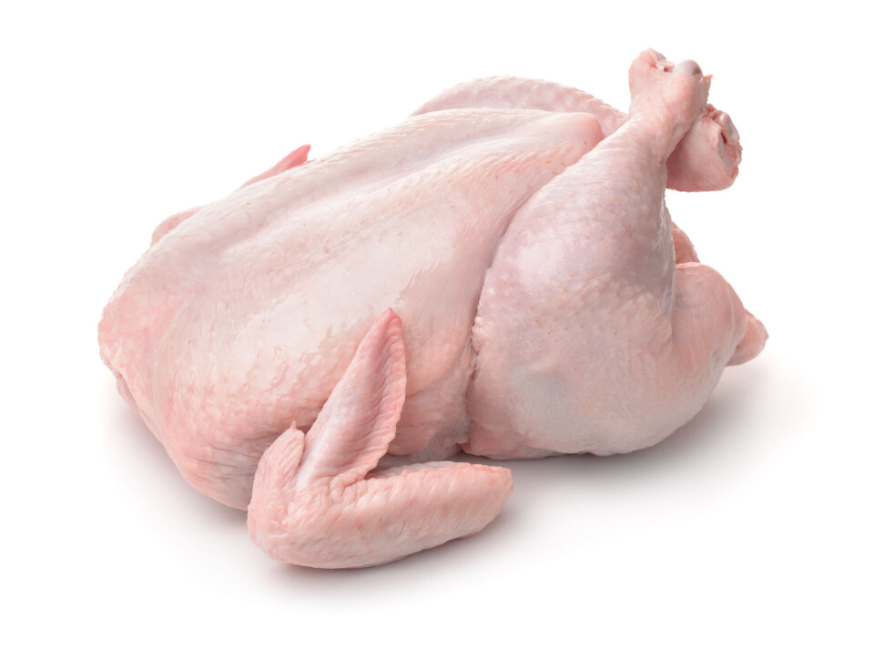 A dietary supplement can be made from chicken scraps, which can work against both high blood sugar and high blood pressure. Rå hel kylling.