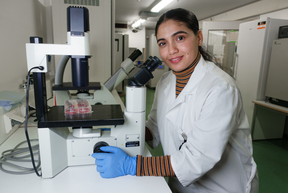 The Bacteria-Hunter: Srijana Bastakoti has dedicated her research to investigate strategies to eradicate Staphylococcus aureus colonization from our throats.