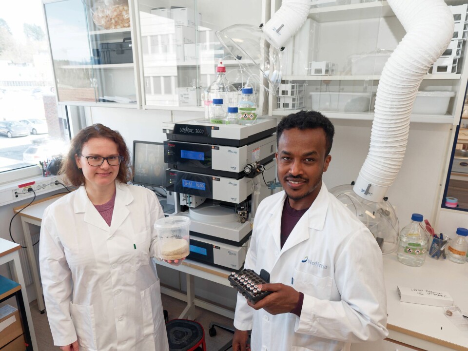 Liudmila Sorokina and Sileshi G. Wubshet have studied how leftover chicken can help with diabetes and high blood pressure.