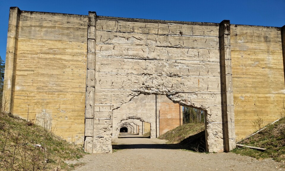 The training ground for German tanks was just a few metres from the mass graves. The area is now protected.