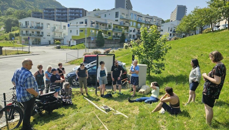 Tove Mostrøm from Havråtunet gives an introduction to the use of scythes.