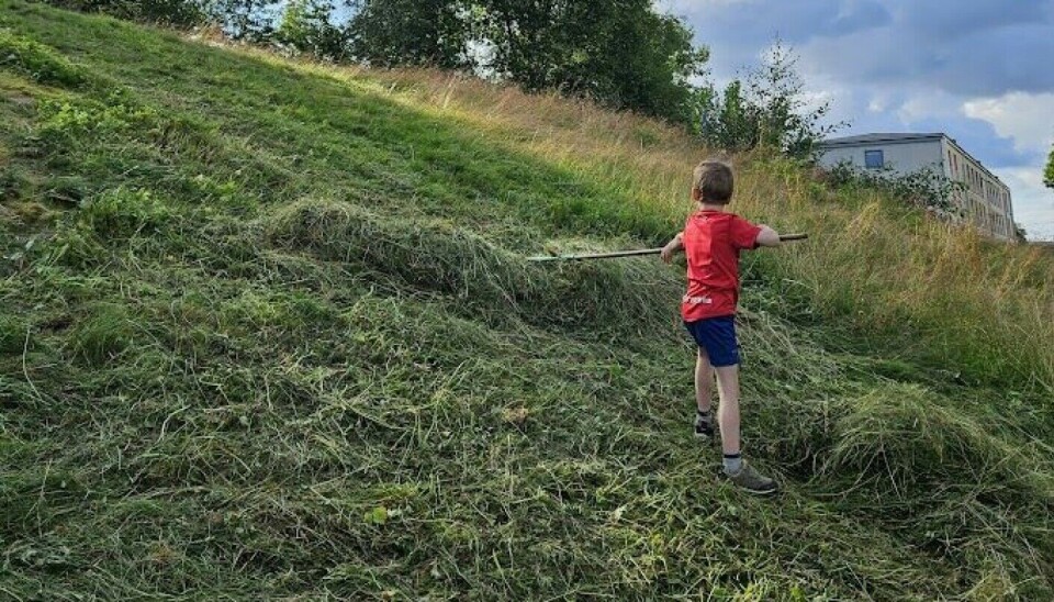 Karsten Strandberg helps rake grass, which was then used to feed sheep.