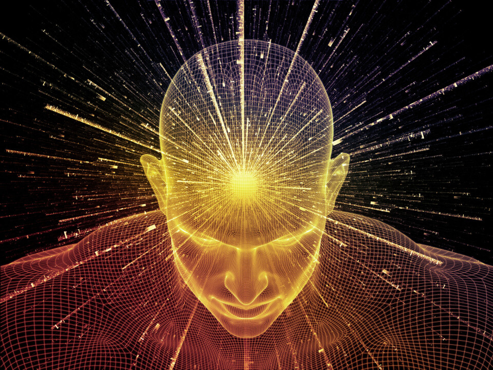 What gives humans consciousness? And who else might have it too?