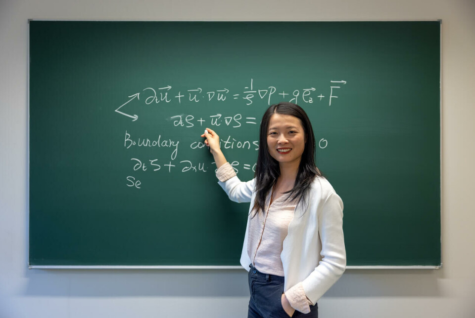 Yan Li was hired at the University of Bergen in 2022 after a period of employment at NTNU and the University of Oxford.
